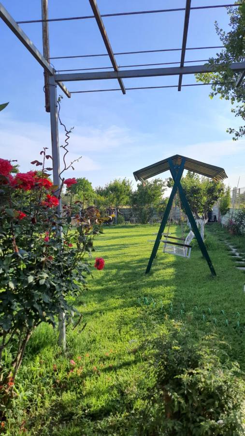 Room With Private Garden Shkodër Buitenkant foto